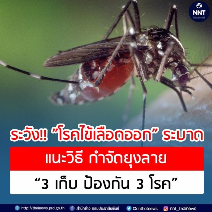 ช่วงฝนตก ระวัง!! ”โรคไข้เลือดออก” ระบาด แนะวิธี กำจัดยุงลาย “3 เก็บ ป้องกัน 3 โรค”